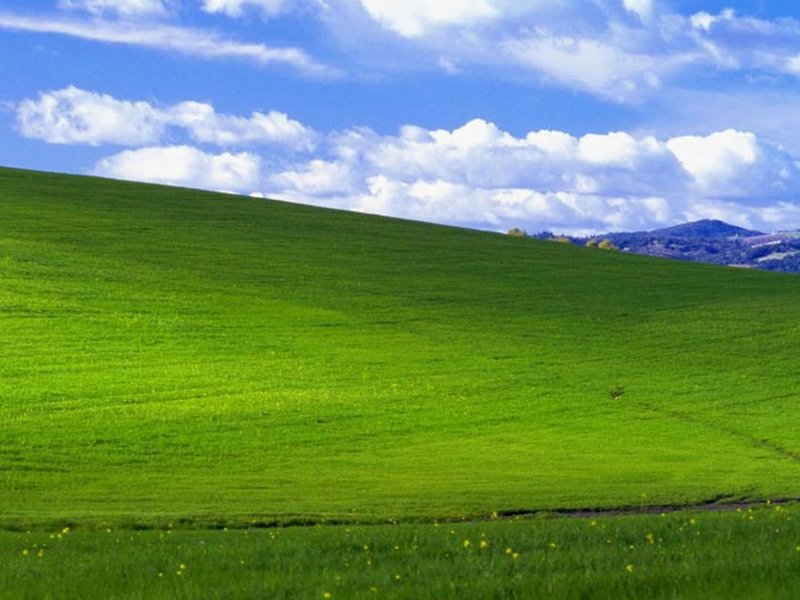 Offizieller Countdown für Windows XP
