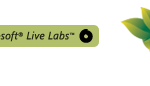 Microsoft Photosynth ist klasse – aber Server bricht zusammen