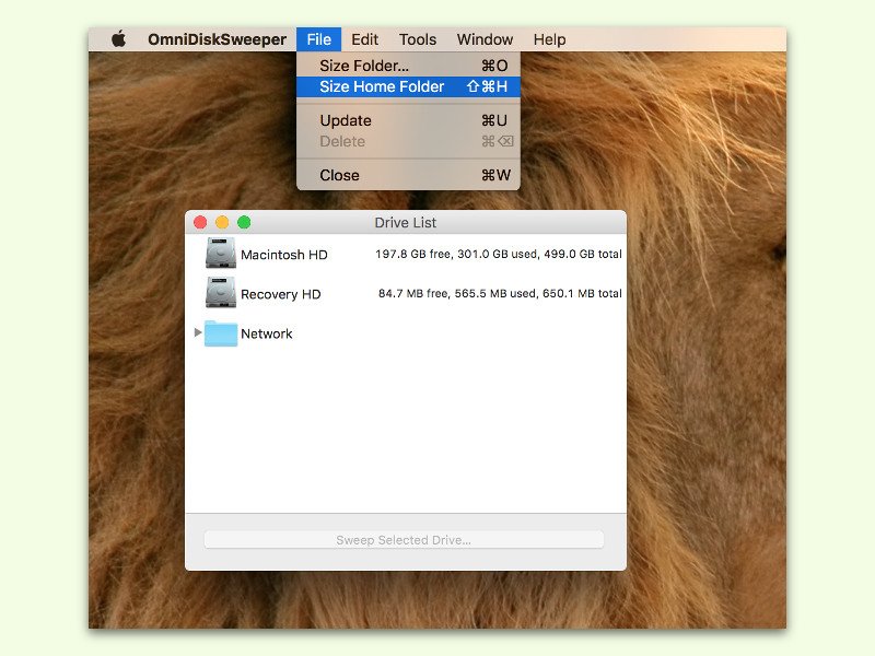 omnidisksweeper-mac-benutzer-profil-ordner-groesse