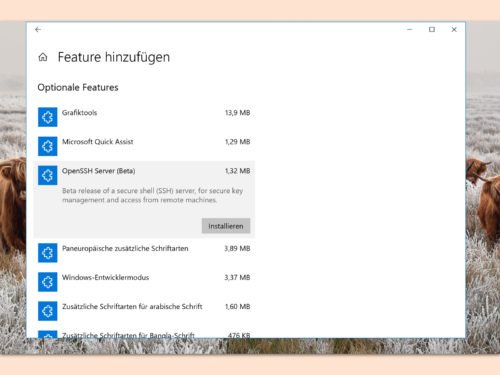 , Windows 10: OpenSSH installieren