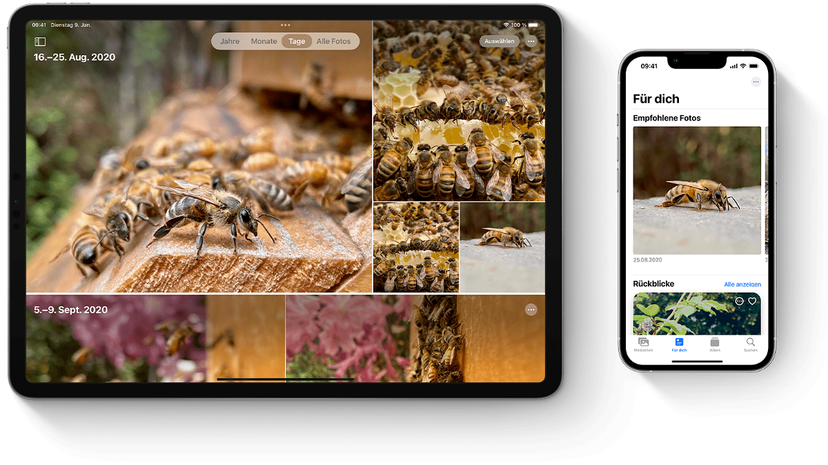 Apple beendet Foto-Stream: Foto-Synchronisierung wird am 26. Juli 2023 eingestellt